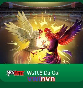 vwinvn